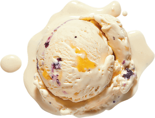 Fav Flavor