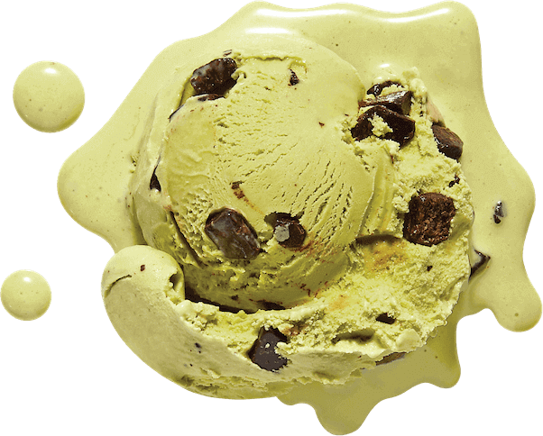 Fav Flavor