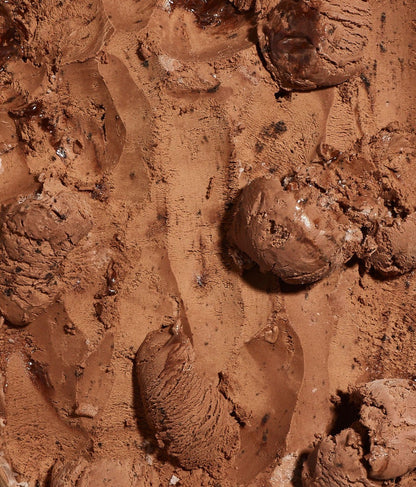Triple Chocolate Blackout Cookie Gluten-Free Regenerative A2 Dairy Ice Cream